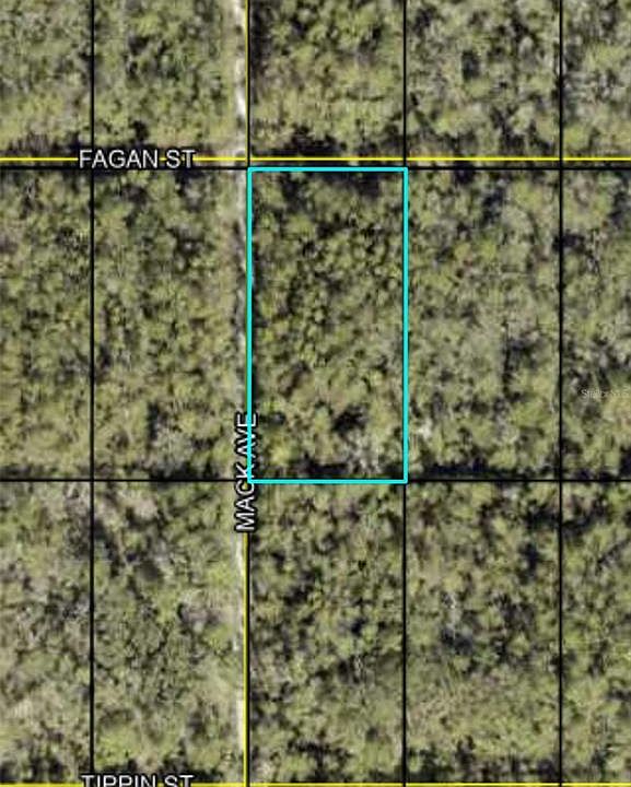 2nd image of Fagan Lot 553