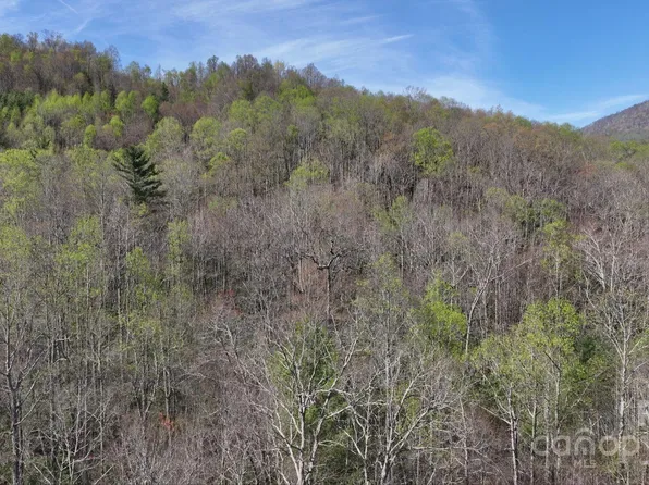 0 Gusher Knob Rd, Newland, NC 28657