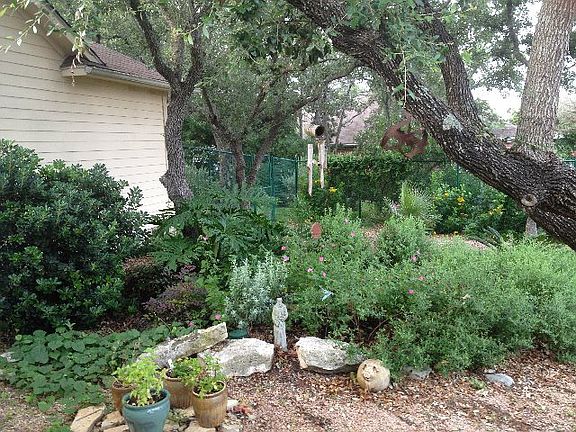 2nd image of 601 Mountain Oaks Dr