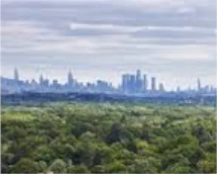 Skyline views from up the street