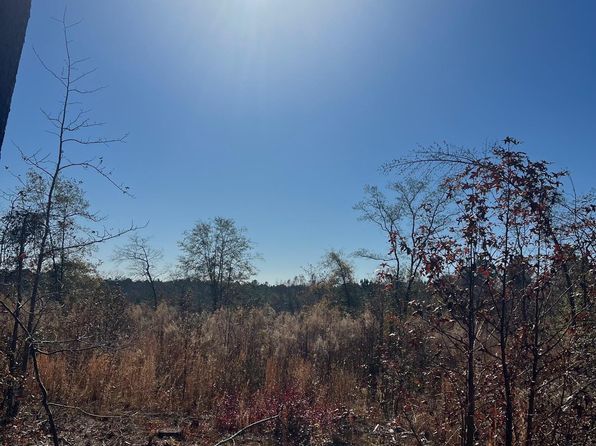 2199 Longtown Rd, Ridgeway, SC 29130