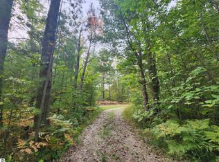 Nhn S Vaughn Lake Dr, Glennie, MI 48737