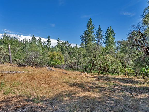 5th image of Leaning Tree Rd