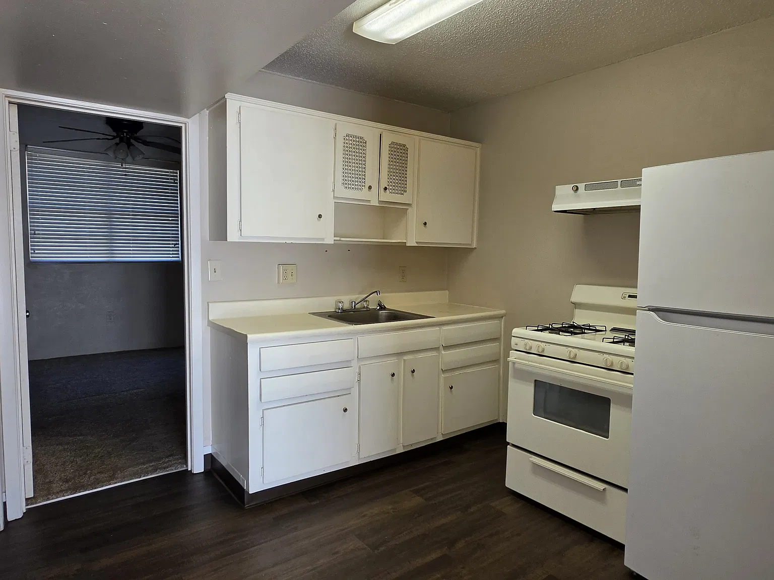 1 bed, $875 — Photo 2