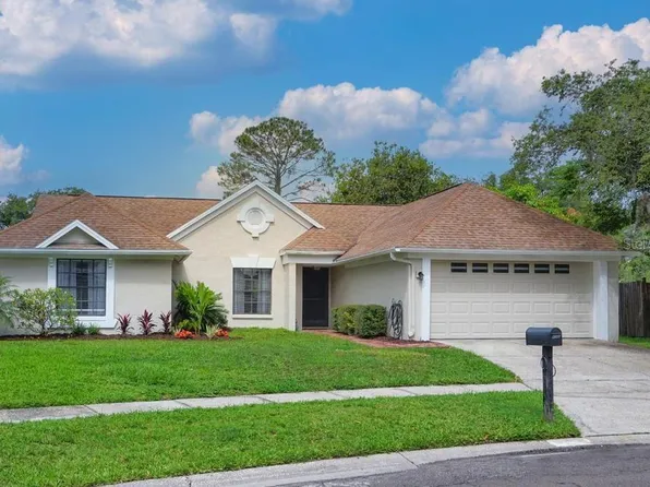 9546 PEBBLE GLEN AVENUE, TAMPA, FL 33647