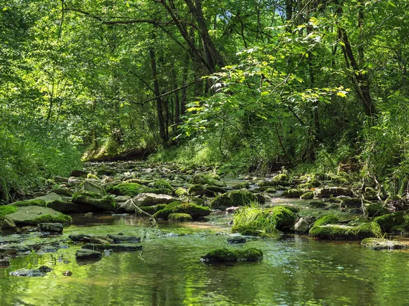 219 Hensley Creek Ln, Whitleyville, TN 38588