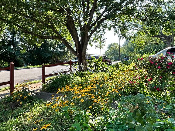 Another view of the front garden.
