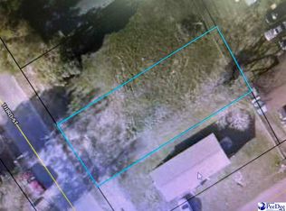 815 3rd St, Darlington, SC 29532