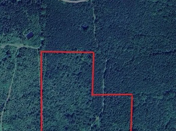 Carter Rd, Macon, MS 39341