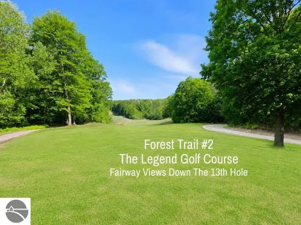 2 Forest Trl, Bellaire, MI 49615