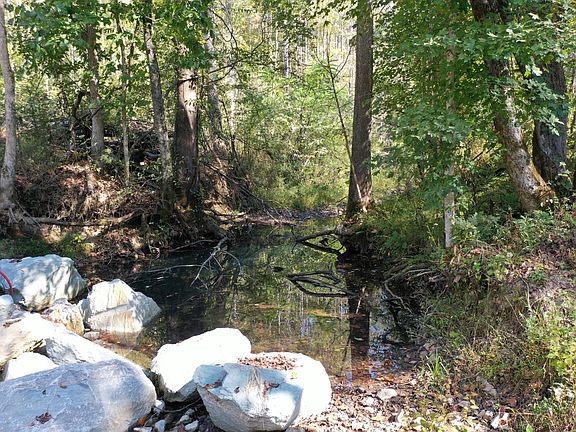 5th image of 1395 Treadwell Prong Rd