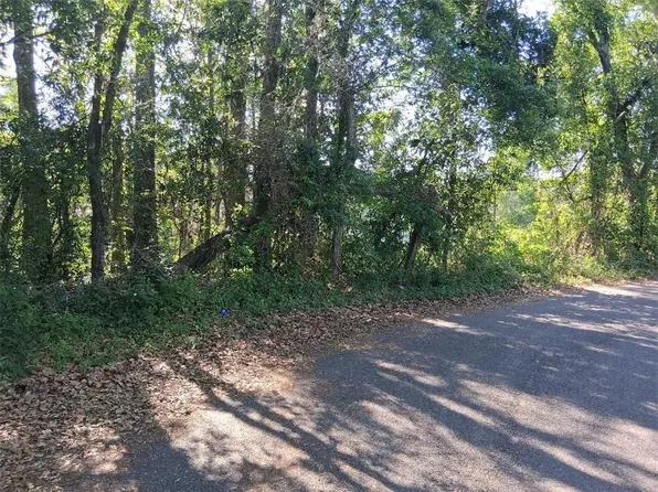 0 Potter Tract, Grand Bay, AL 36541