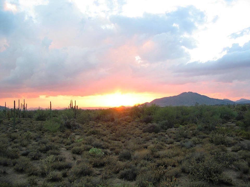 More of the backyard