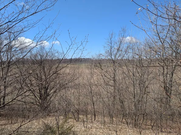 Butwell Part 2 Rd, Bear Lake, MI 49614