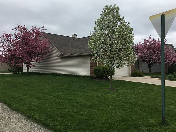 Side view in spring