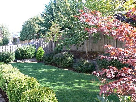Back yard facing east