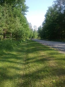 6330 Link Blvd, Indian River, MI, 49749