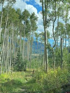 1341 Hampton Road, Cimarron, CO, 81220