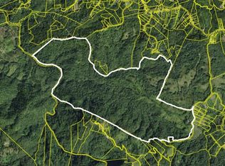 608 Bo Fronton, Ciales, PR 00638