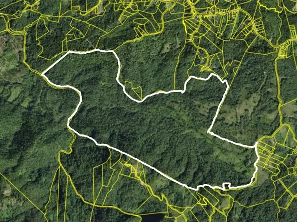 608 Bo Fronton, Ciales, PR 00638