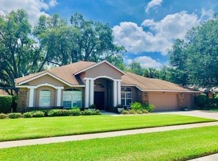 909 Belle Timbre Ave, Brandon, FL 33511