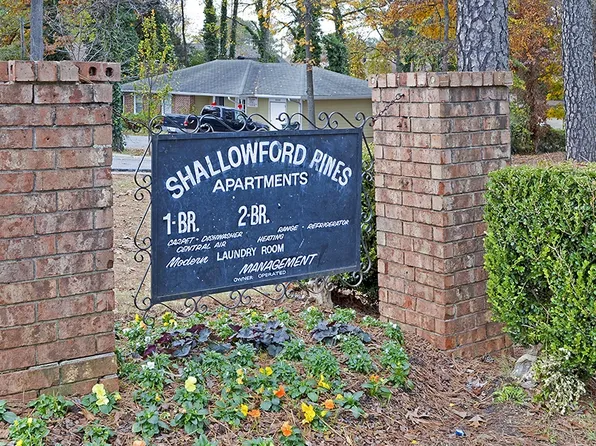 Shallowford Pines