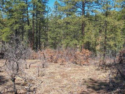 121 Engineer Point, Pagosa Springs, CO, 81147