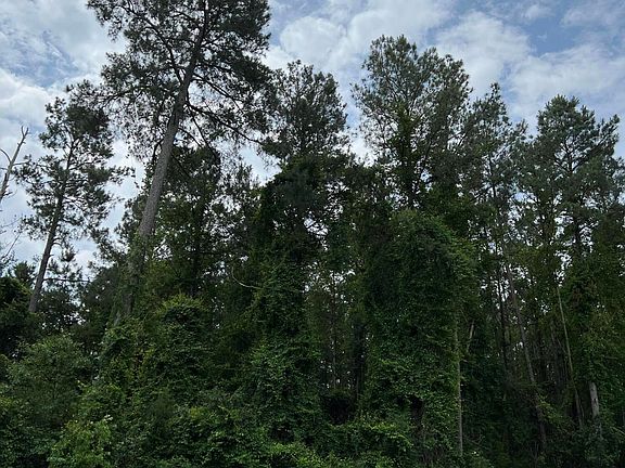 5th image of 319 River Ridge Dr