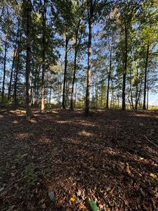 1.39 Smokey Ridge Rd, Jamestown, TN, 38556