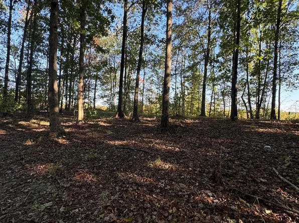 1.39 Smokey Ridge Rd, Jamestown, TN 38556
