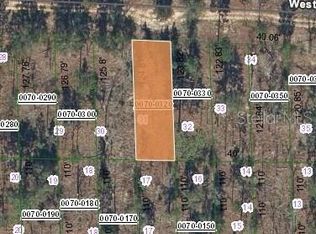 125 W Virginia St, Hawthorne, FL 32640