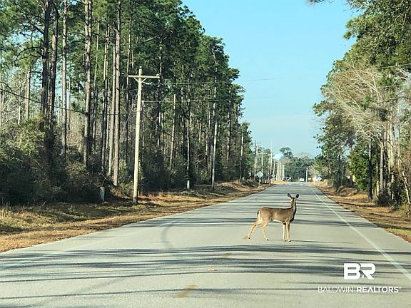 4th image of 0 Forest Dr