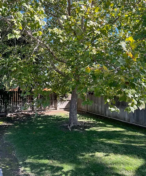 814 N Van Ness Ave — Photo 22