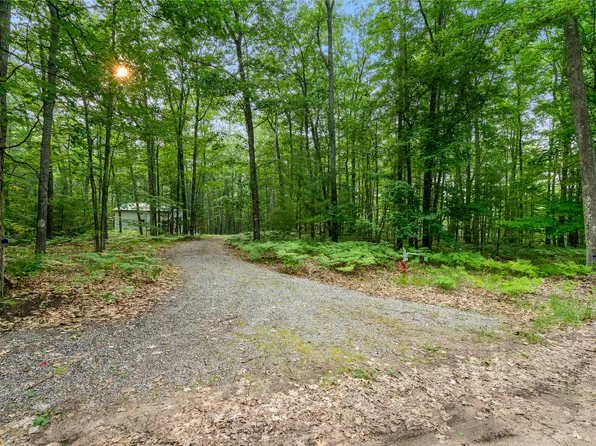 2212 Red Oak Trl, Indian River, MI 49749