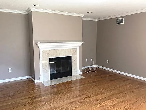 Living Room Fireplace