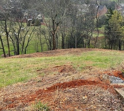 4th image of 219 Louisiana Ct Lot 219