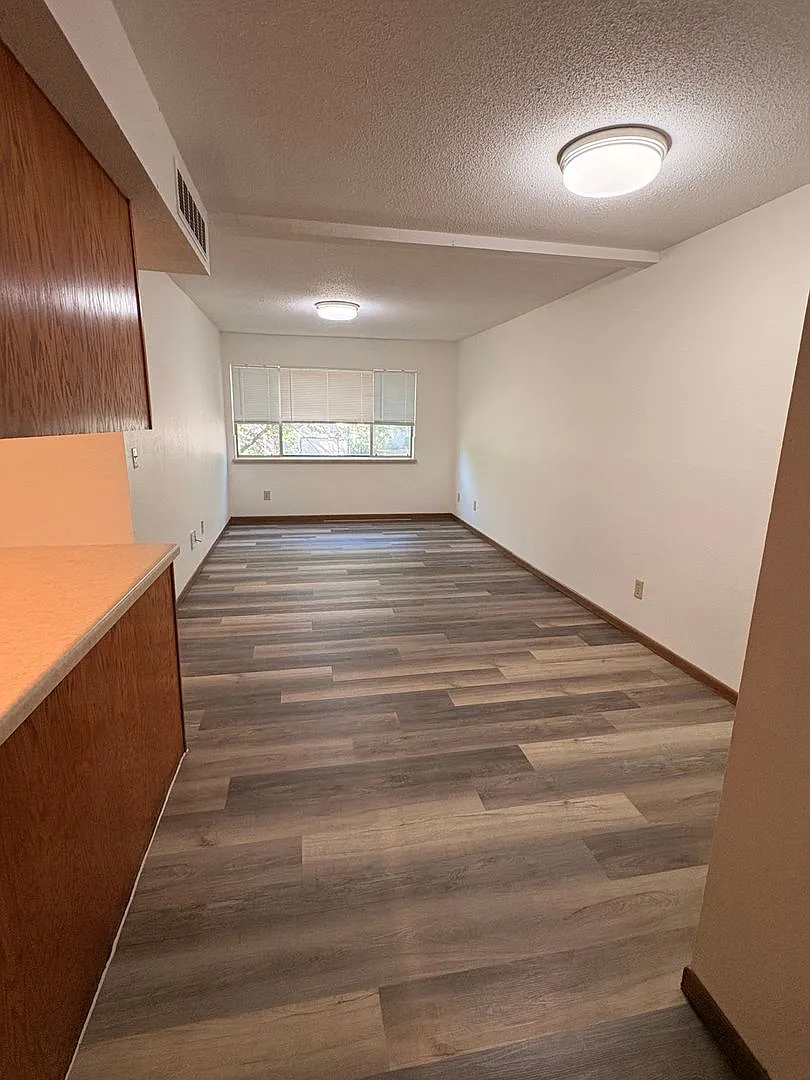 Ivy Apartments — Photo 2