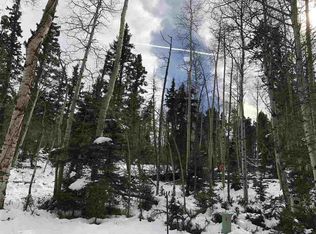 Rio Grande Ter, Angel Fire, NM 87710