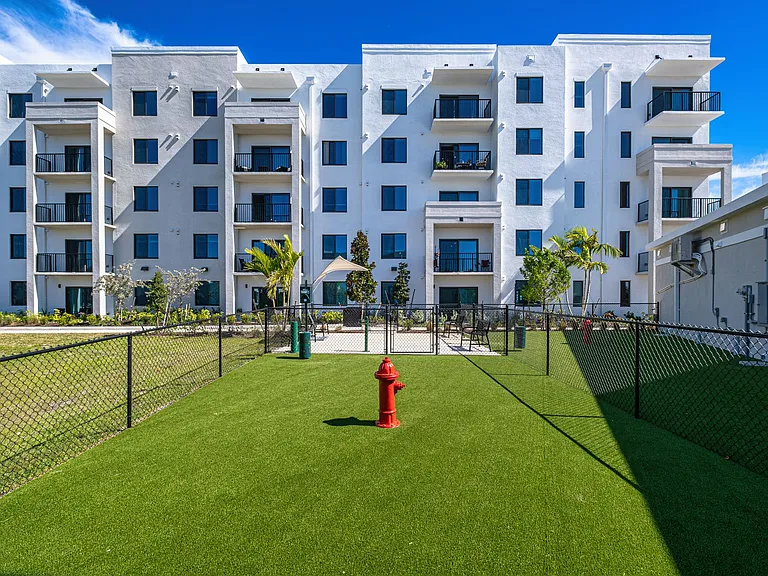Dog Park