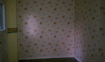 2nd image of 240 Forest Park Dr