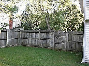 Backyard Fence