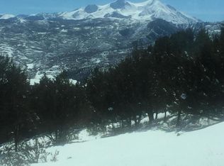 390 Paseo Rd, El Jebel, CO 81623