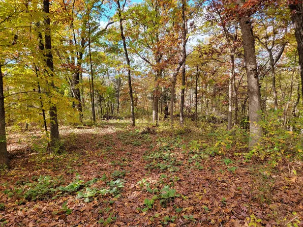 L9 Saint Lawrence Bluff Rd, Poynette, WI 53955