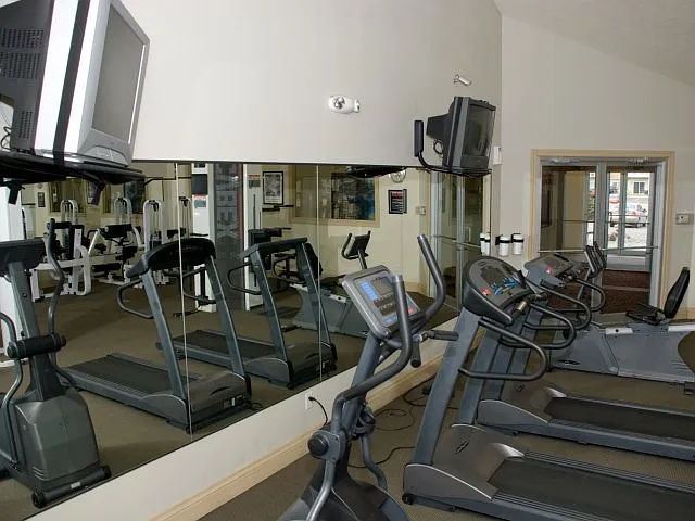 Fitness
