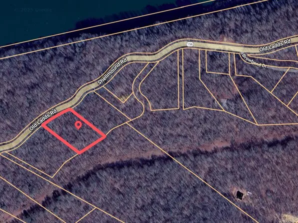 0 Highway 156, Guild, TN 37340