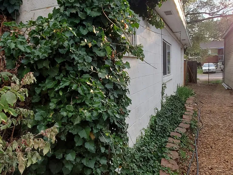 North side of house