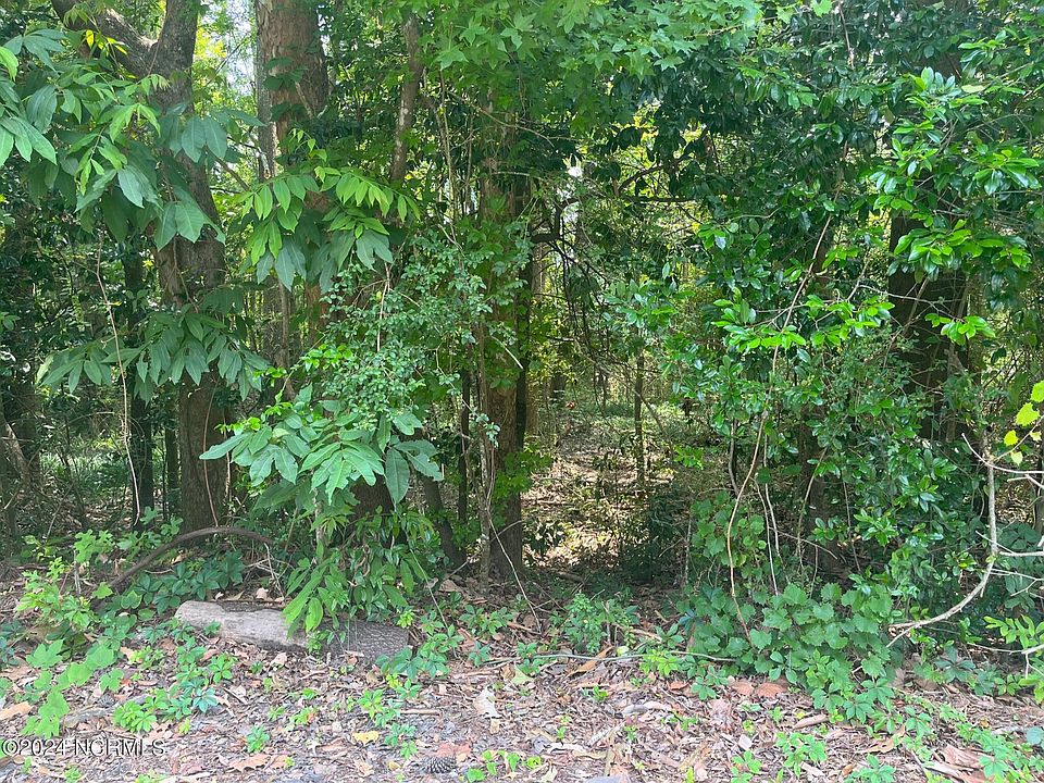 2nd image of Near E Frink Street LOT 56