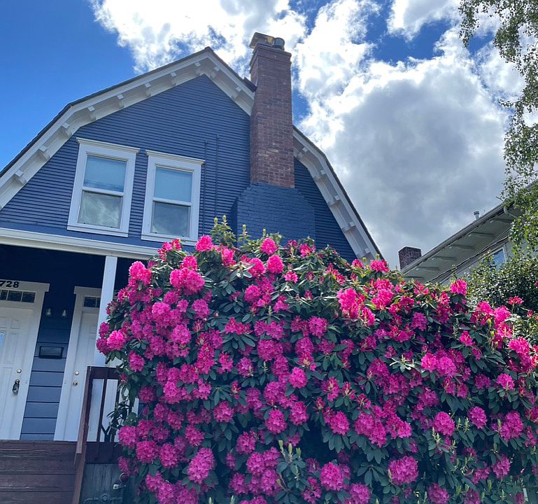 Exterior with the Rhododendron in bloom