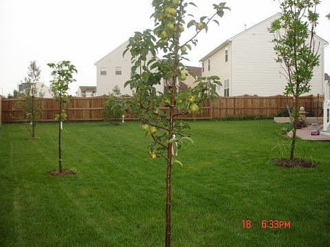 1st image of 12112 Stretford Forest Ct