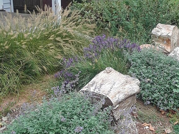 year around plants and beautiful roses and other perennials.